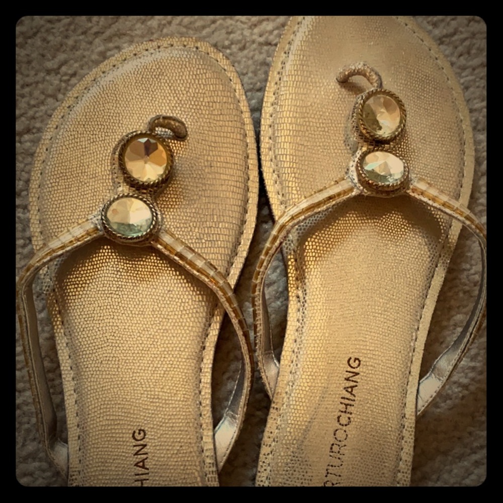 Arturo Chiang Flip Flops